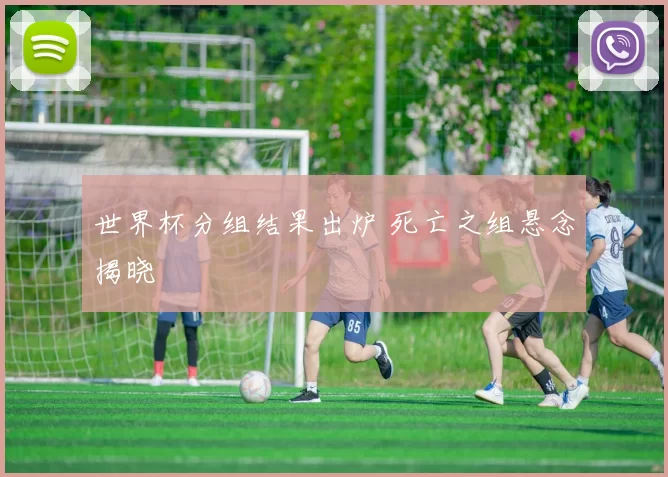 世界杯分组结果出炉 死亡之组悬念揭晓