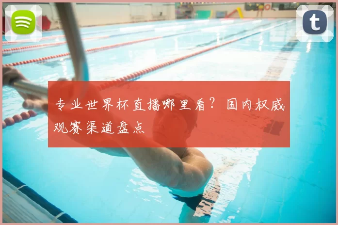 专业世界杯直播哪里看?国内权威观赛渠道盘点