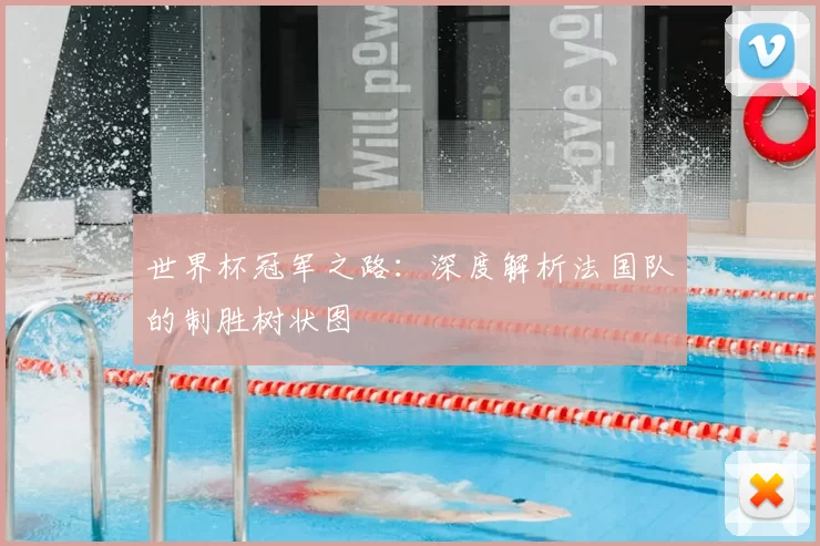 世界杯冠军之路：深度解析法国队的制胜树状图