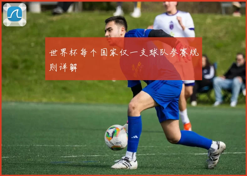 世界杯每个国家仅一支球队参赛规则详解