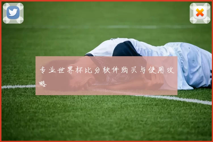 专业世界杯比分软件购买与使用攻略