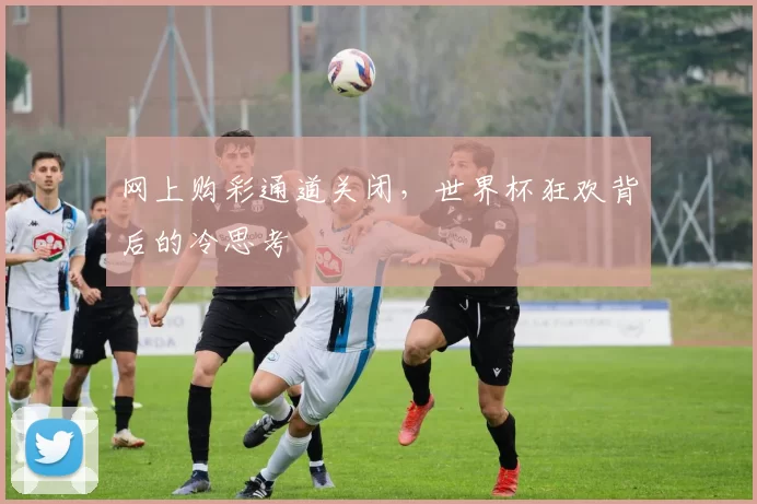 网上购彩通道关闭,世界杯狂欢背后的冷思考