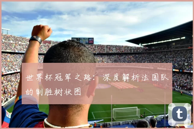 世界杯冠军之路:深度解析法国队的制胜树状图