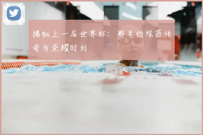 揭秘上一届世界杯:那年的绿茵传奇与荣耀时刻