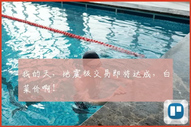 我的天，地震级交易即将达成，白菜价啊！