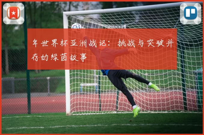 年世界杯亚洲战记：挑战与突破并存的绿茵故事