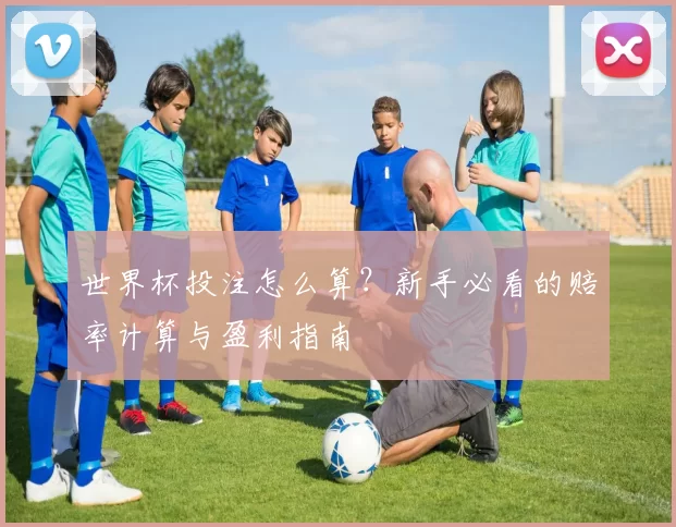 世界杯投注怎么算?新手必看的赔率计算与盈利指南