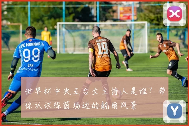 世界杯中央五台女主持人是谁?带你认识绿茵场边的靓丽风景