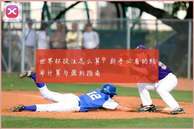 世界杯投注怎么算?新手必看的赔率计算与盈利指南