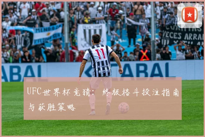 UFC世界杯竞猜:终极格斗投注指南与获胜策略
