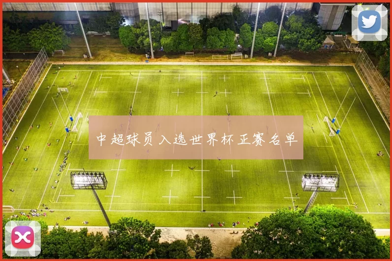 中超球员入选世界杯正赛名单