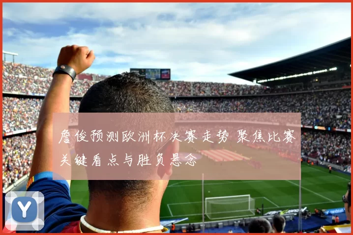 詹俊预测欧洲杯决赛走势 聚焦比赛关键看点与胜负悬念